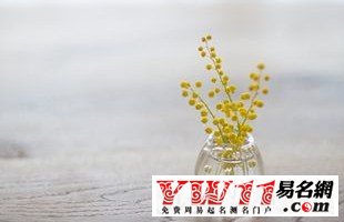 最唯美的两字网名大全：斷弦ヽ