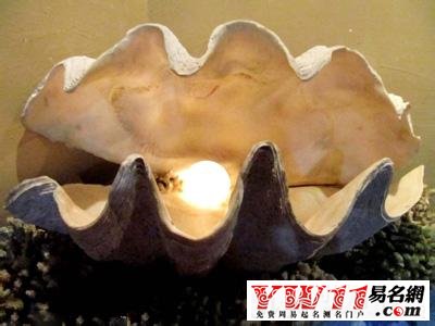 海中金命是什么意思